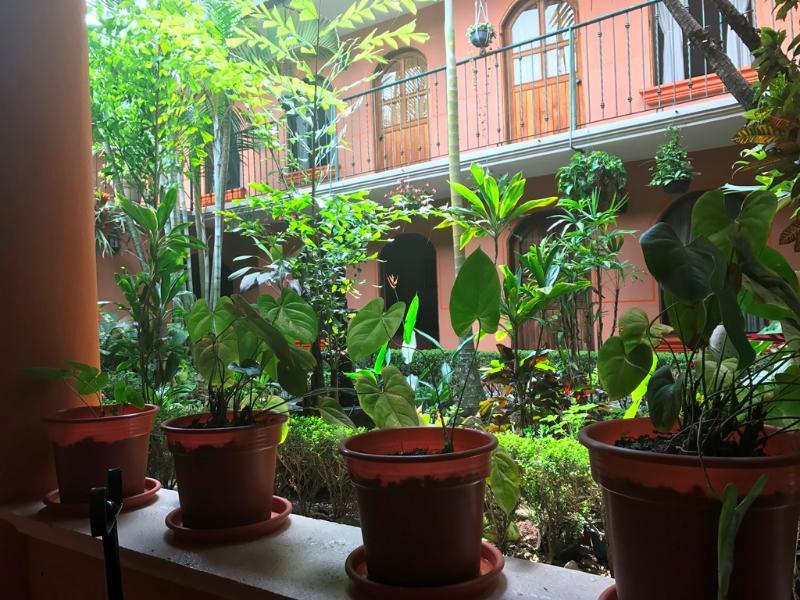 Hotel Posada San Jeronimo Coatepec  Esterno foto