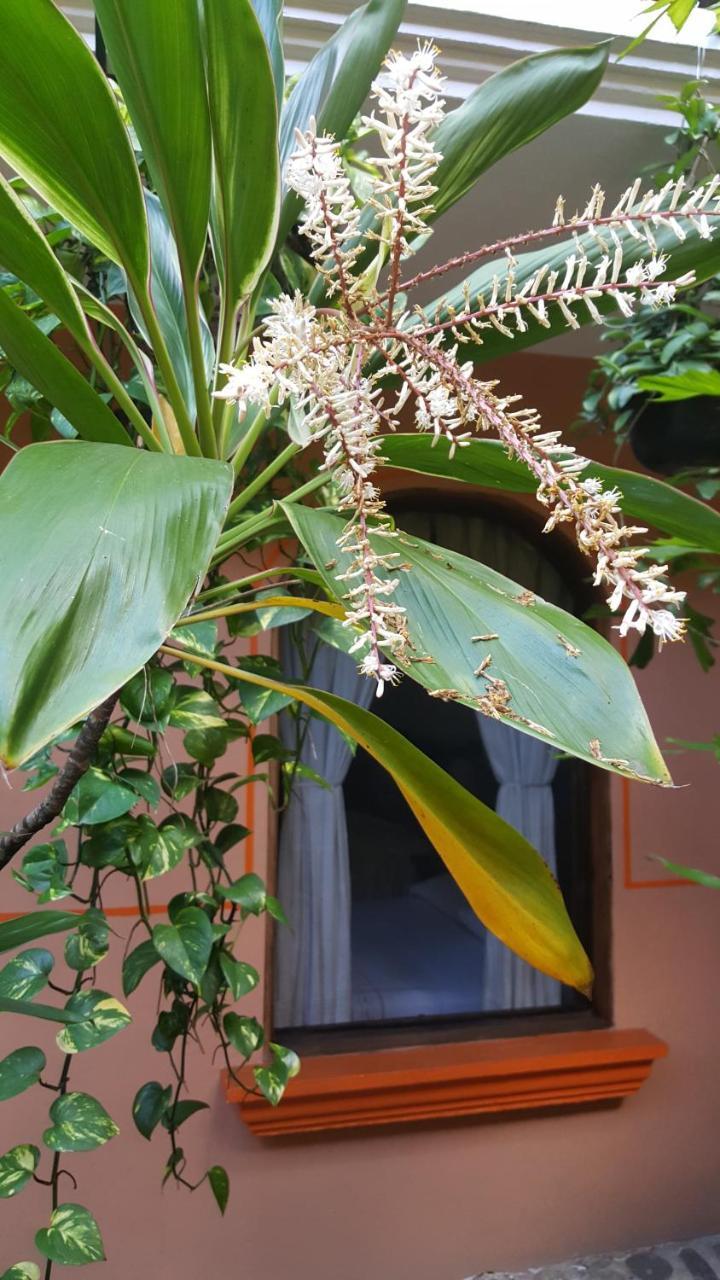 Hotel Posada San Jeronimo Coatepec  Esterno foto